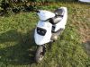TGB_Pegasus_Sky_50_Roller_Scooter_weiss_AC_Morini_Motor_-_wie_Kreidler_RMC_50_E_TGB_Bullet_Hawk_CAGIVA_City_Progress_50_6.jpg