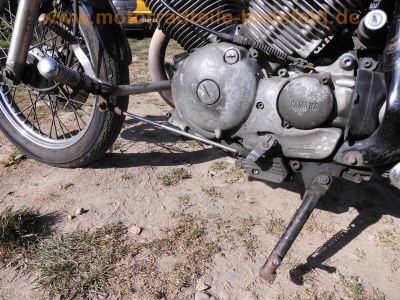 Yamaha_XV535_VIRAGO_3BR_blau_Windschild_Scheibe_Wildschaden_-_Technik_Motor_wie_2YL_3BT_4KU_4MC_26.jpg
