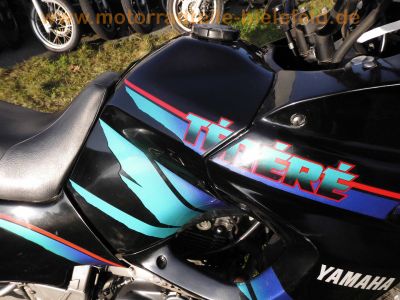 Yamaha_XTZ_660_Tenere_3YF_1998_schwarz_Sturzbuegel_-_wie_4BW_4MY_4NV_4NW_4MD_Motor_wie_SZR_660_4SU_58.jpg