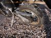 Kawasaki_KLR600E_KL600B_DOHC_Enduro_1Hd_23tkm_EZ1993_letzte_Baureihe_goldeloxierte_Felgen_-_wie_KL_KLR_250_650_A_B_C_D_58.jpg