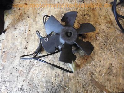 Honda_CBR600F_PC19_PC23_Teile_Ersatzteile_spares_spare-parts_-_wie_PC25_PC31_CBR1000F_SC21_5.jpg