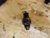 Honda_CBR600F_PC19_PC23_Teile_Ersatzteile_spares_spare-parts_-_wie_PC25_PC31_CBR1000F_SC21_21.jpg