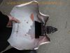 Suzuki_GSX_1200_AE_Inazuma_Streetfighter-Umbau_JS1A3_WVA3_BOS-Auspuff_Super-Shorty_Auspuff-_Teile_Ersatzteile_spares_parts_wie_Suzuki_GSX750_AE_JS1AE_GSX_GSF_600_750_1100_1200_F_AK_A3_Bandit_114.jpg