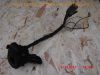 Honda_MBX80_HC04_rot_2x_Schlachtfahrzeug_-_Teile_Ersatzteile_spares_parts_wie_MBX50_AC05_MBX125_MT_50_80_MTX50_MTX80R2_HD08_HD09_MTX125R_123.jpg