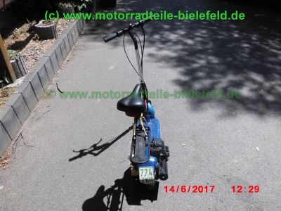 BLATA_2x_Blatino_Scooter_Mini-_Roller_Falt-Roller_Klapp-Roller_im_Stil_von_Go-Ped_GoPed_–_Mini-Scooter_Mokick_Mofa-11.jpg