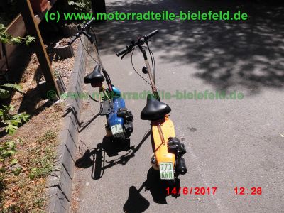 BLATA_2x_Blatino_Scooter_Mini-_Roller_Falt-Roller_Klapp-Roller_im_Stil_von_Go-Ped_GoPed_–_Mini-Scooter_Mokick_Mofa-6.jpg