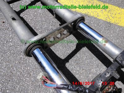 Yamaha_TDM900_RN08_Teile_Ersatzteile_parts_spares_spare-parts_ricambi_repuestos_Motor_TAKKONI_2-1_Sport-Auspuff_BT_Bulldog_Front_-_wie_RN11_RN18_TDM_900_850_XTZ_750-130.jpg