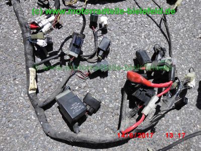 Yamaha_TDM900_RN08_Teile_Ersatzteile_parts_spares_spare-parts_ricambi_repuestos_Motor_TAKKONI_2-1_Sport-Auspuff_BT_Bulldog_Front_-_wie_RN11_RN18_TDM_900_850_XTZ_750-65.jpg
