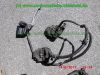 Yamaha_TDM900_RN08_Teile_Ersatzteile_parts_spares_spare-parts_ricambi_repuestos_Motor_TAKKONI_2-1_Sport-Auspuff_BT_Bulldog_Front_-_wie_RN11_RN18_TDM_900_850_XTZ_750-51.jpg