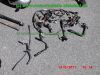 Yamaha_TDM900_RN08_Teile_Ersatzteile_parts_spares_spare-parts_ricambi_repuestos_Motor_TAKKONI_2-1_Sport-Auspuff_BT_Bulldog_Front_-_wie_RN11_RN18_TDM_900_850_XTZ_750-56.jpg