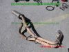 Yamaha_TDM900_RN08_Teile_Ersatzteile_parts_spares_spare-parts_ricambi_repuestos_Motor_TAKKONI_2-1_Sport-Auspuff_BT_Bulldog_Front_-_wie_RN11_RN18_TDM_900_850_XTZ_750-89.jpg