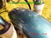 Yamaha_XV125_Virago_5AJ_Classic_gruen-weiss_Sturzbuegel_–_Teile_Ersatzteile_ricambi_repuestos_wie_XV250_3LW_3LS-19.jpg