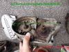 KTM_Comet_GP_50_MS_braun_–_Ersatzteile_spare-parts_wie_KTM_MSS_MLS_SM_RSW_RSL_RS_50_80_Hercules_Sprint_MK1_MK2_Sachs_501_4_BKF-80.jpg