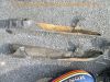 Honda_CM_185_T_Chopper_blau_zerlegt_-_wie_CB_CM_200_T_250_C_CA_125_Rebel_39.jpg