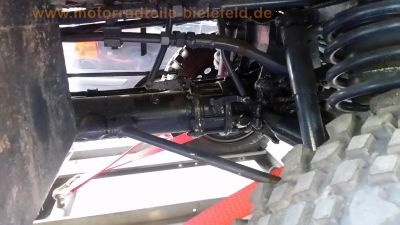 Steyr-Daimler-Puch_Haflinger_703AP_restauriertes_Kommunal-Fahrzeug_mit_Hydraulik_fuer_Schneeschild_Salzstreuer_Winterdienst_Raeumfahrzeug_Streufahrzeug_-_Motor_Technik_wie_700AP_17.jpg