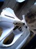 Filename=picture00046.jpg
Filesize=73KiB
Dimensions=800x1067
Date added=Jun 14, 2008 picture00046.jpg