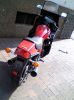 picture00221.jpg