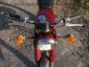Honda_CB_100_rot_Einzylinder_viele_Extras_-_wie_CB_72_77_92_125_J_77.jpg