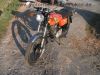 Honda_CB_125_S_J_orange_FEHLING_Gepaecktraeger_-_wie_CB_CL_TL_XL_SL_100_125_K_S_6.jpg